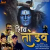 About Shiv Tandav Song